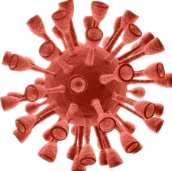2421d86b32694c609b7d76adbe168eec.png