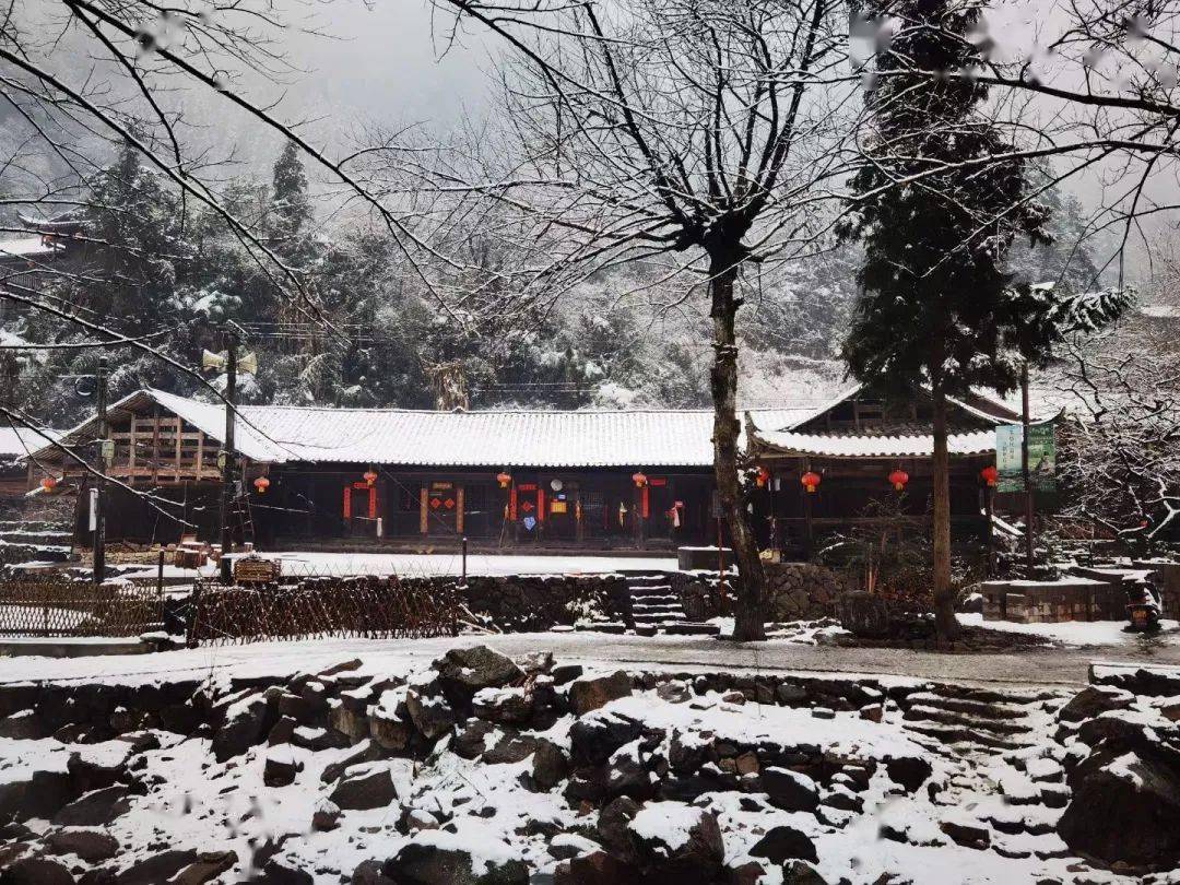 新春走基层牧笛溪村年轻人的别样腊月