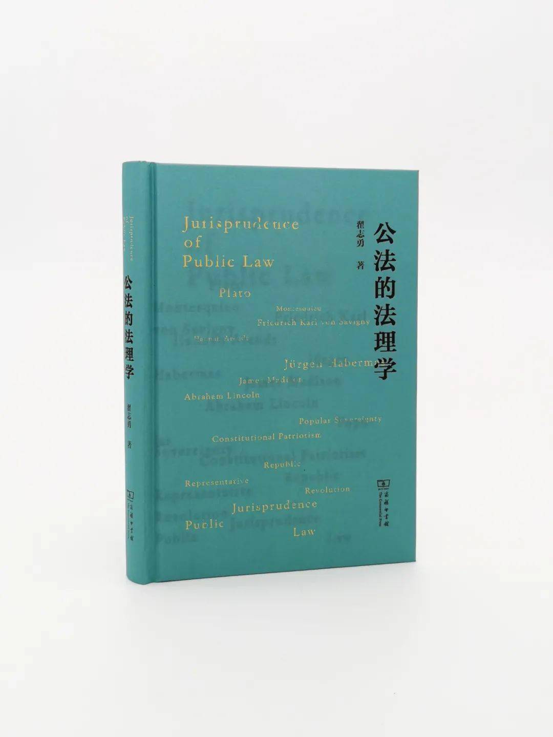 转向|历史法学的公法转向 | 2021年《法治周末》十大法治图书《公法的法理学》