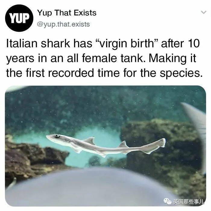 世界各地那些有趣又脑洞的真实存在，看了让人大开眼界啊！