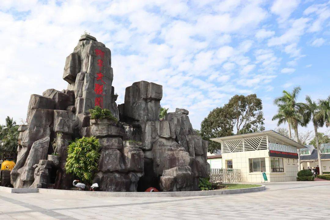 椰子大观园椰林花海大年初一迎春绽放!_活动_文昌_海南省