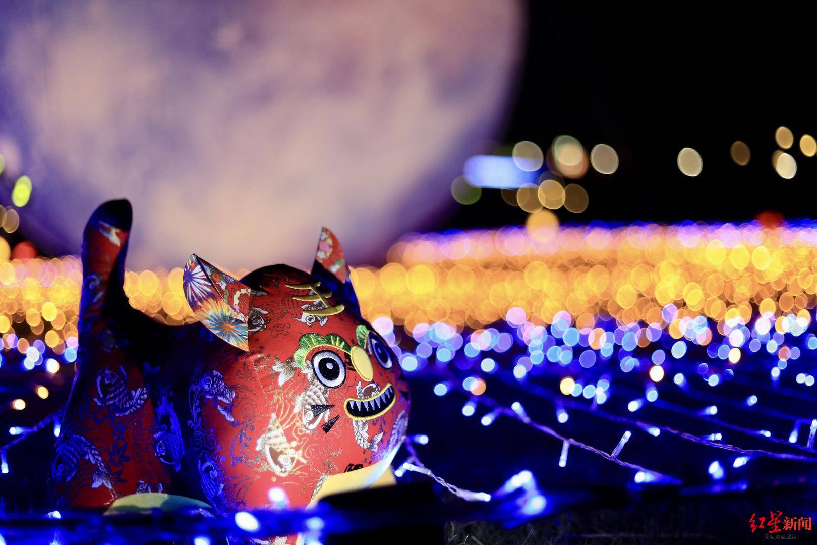 花海|想去花海追光拍飞机吗？成都空港花田梦幻夜场今起开放