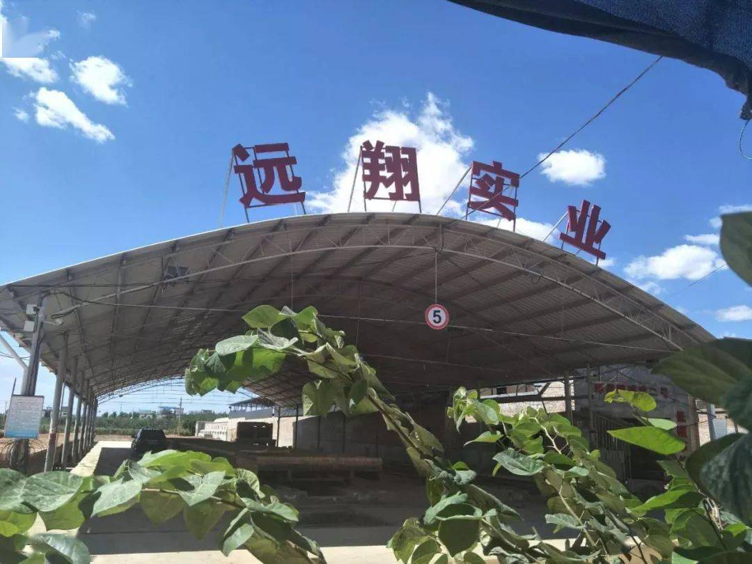 铜川市远翔实业有限公司给全市人民拜年啦