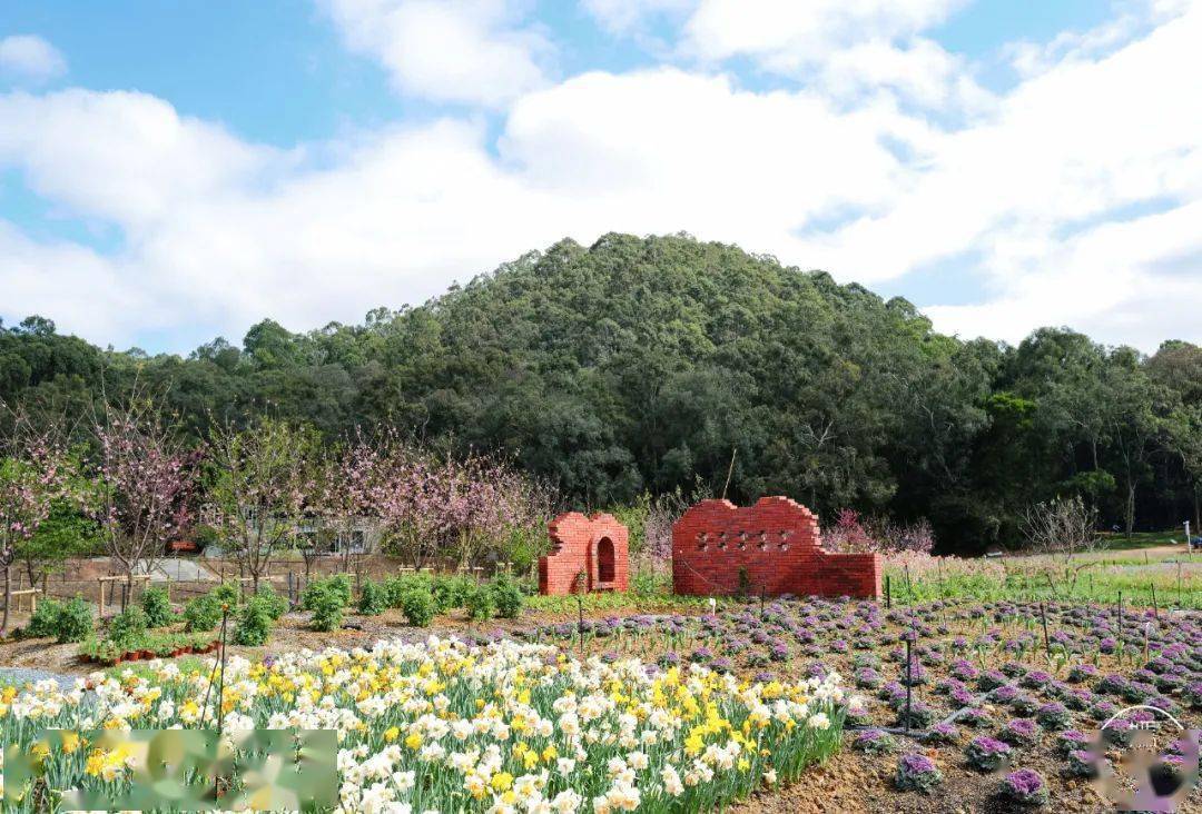 沉浸式遨遊花海每步皆景拾級而上,邂逅300多種花卉香遇百花園//# 香遇