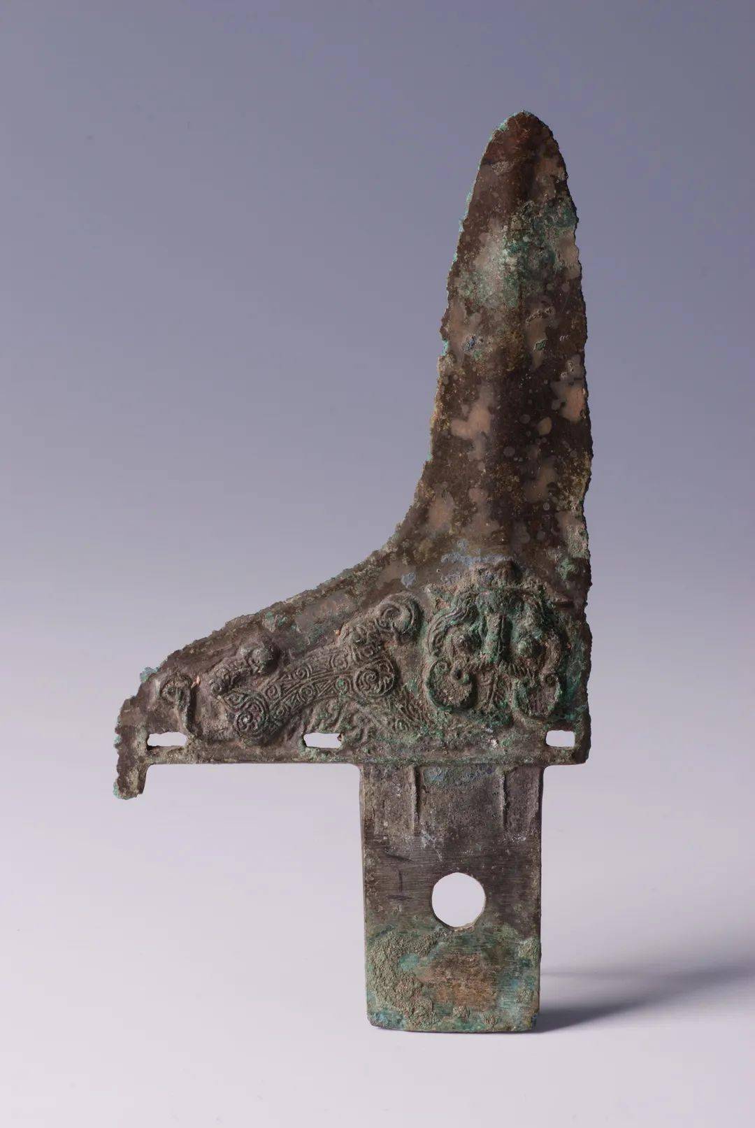 虎年说虎系列①兵戈之虎勇士的象征