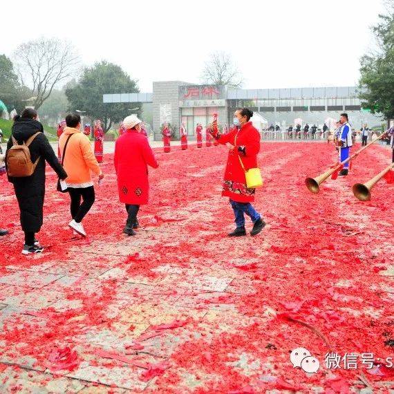 爆竹声中一岁除 阿诗玛故乡迎嘉宾_游客_石林_阿黑哥