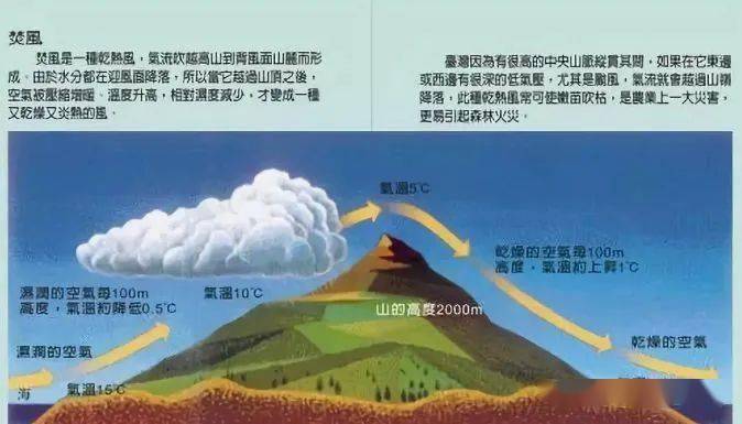 按照自然地理水平地带的划分,我国西南横断山区属于湿润的亚热带常绿