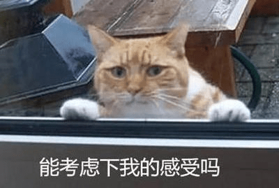 8f5ead53751840ae829e8c80e323acdd.png