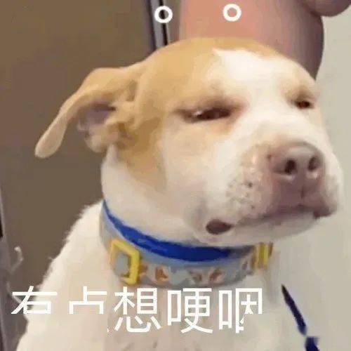 ce4fc8fb8b0b4f62af89a1208104f434.jpeg