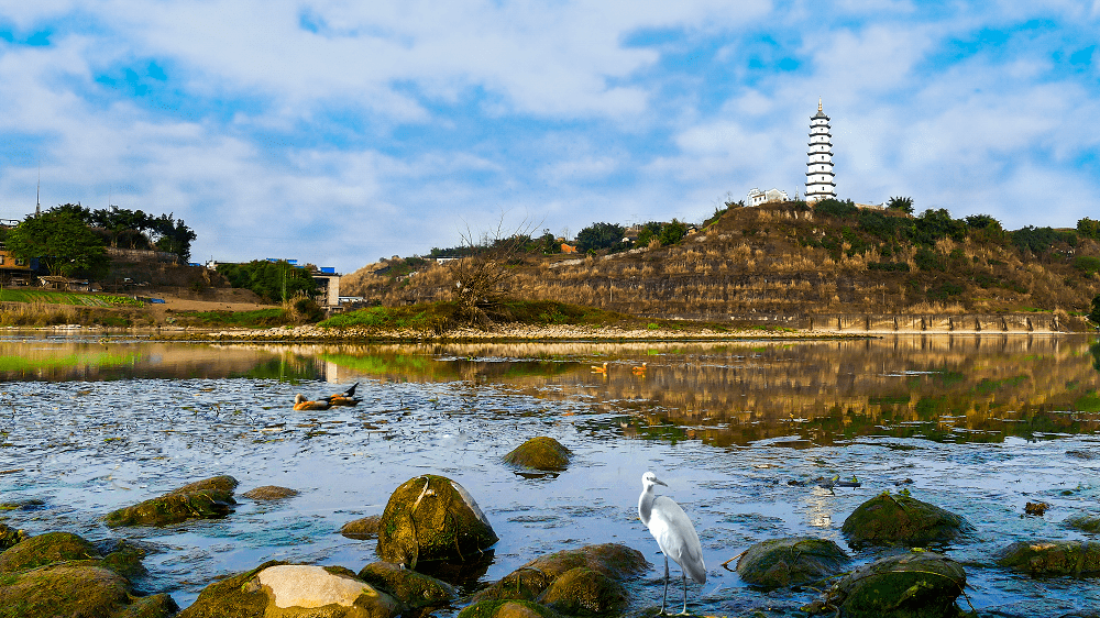 迎龙湖国家湿地公园重庆开州汉丰湖国家湿地公园重庆九龙坡彩云湖国家
