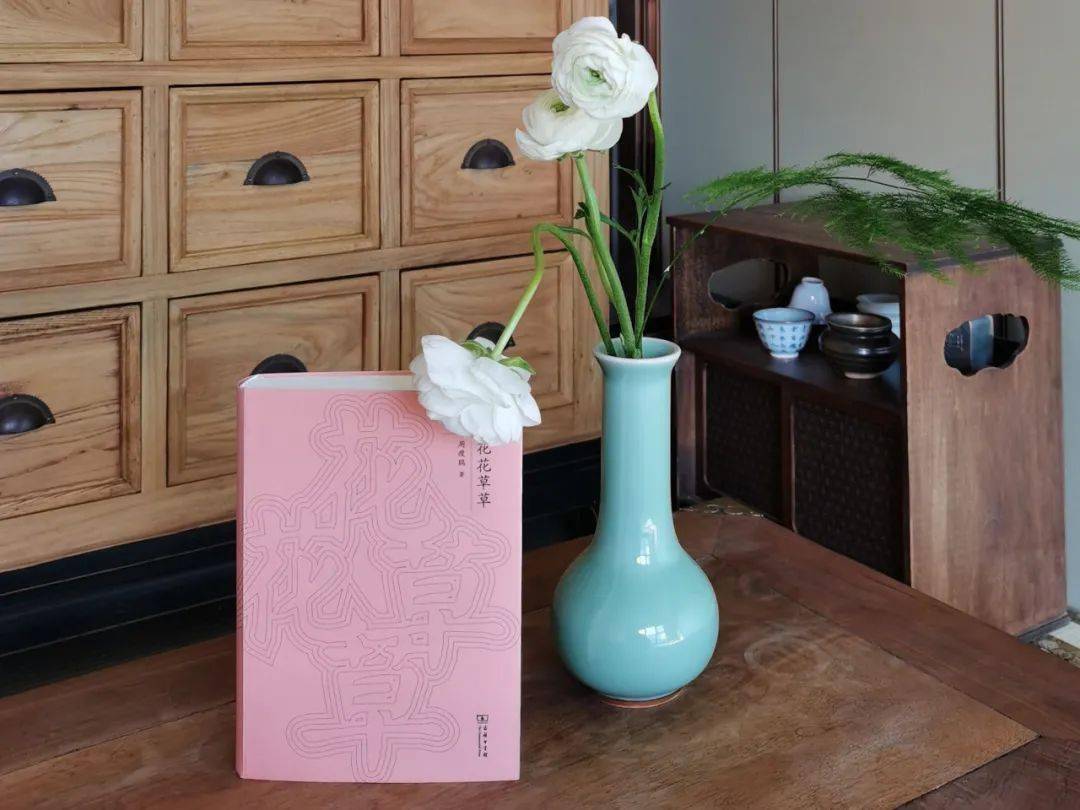 春节期间的花花草草 清供 花前 花卉