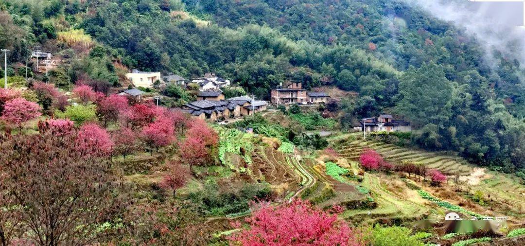 云美村简介东平镇云美村,原名马洋村,地处永春县东南部,东平镇西南部