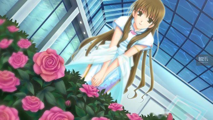 恋爱游戏是越来越“不做人”了