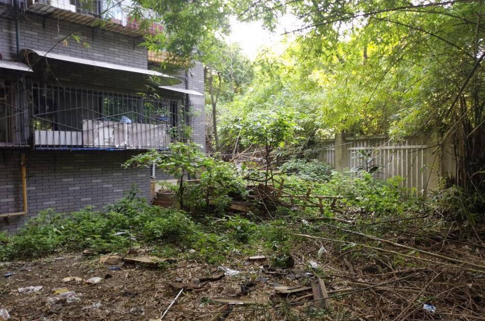 探访成都市浣花小区老旧小区改造工程让城市变样