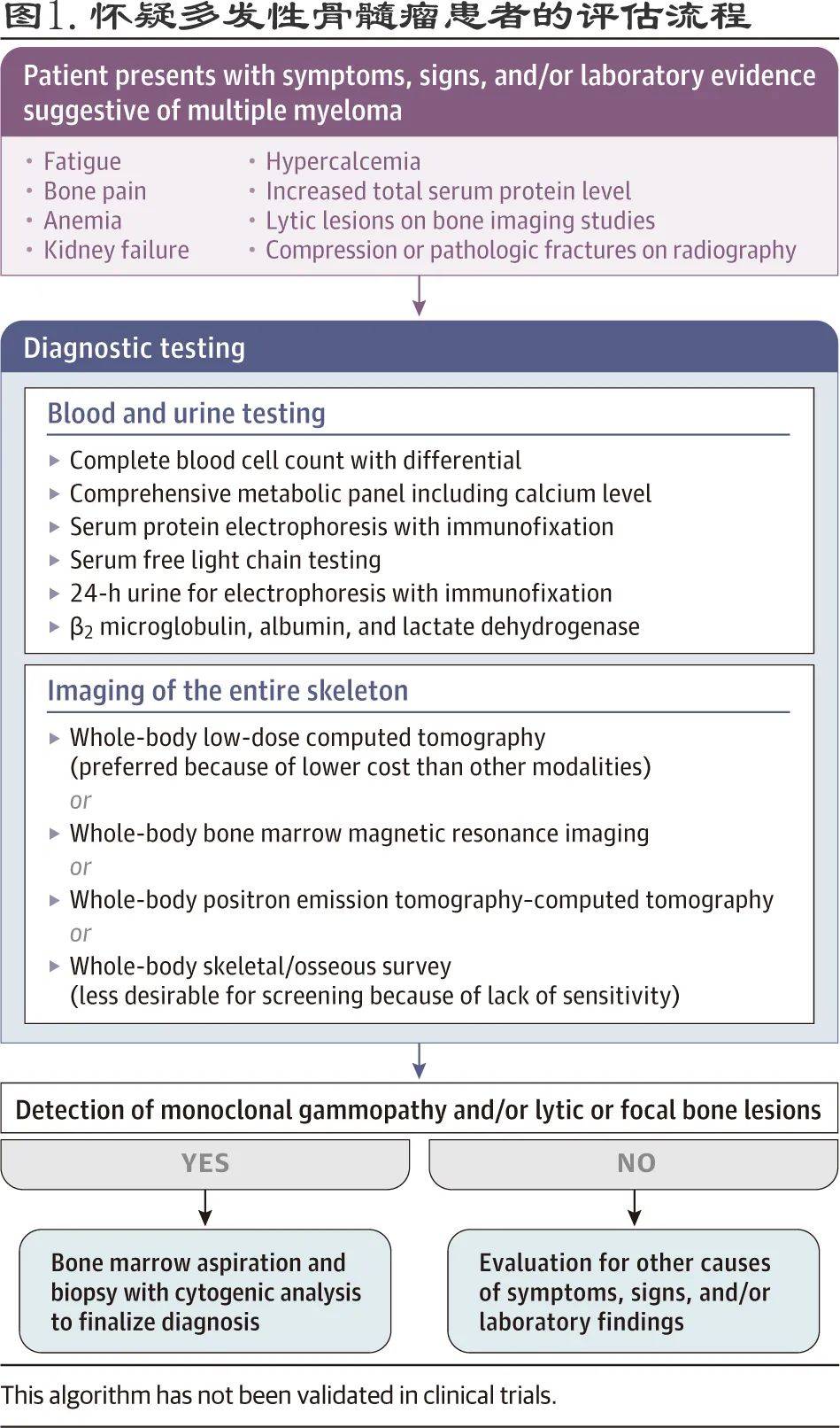 治疗|JAMA：多发性骨髓瘤的诊断和治疗