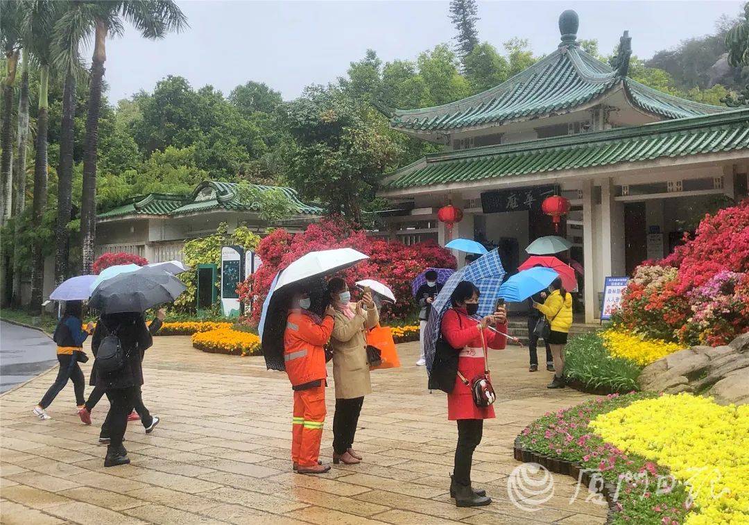 步道|今日立春，雨停了！快出门玩耍吧，攻略已备好→