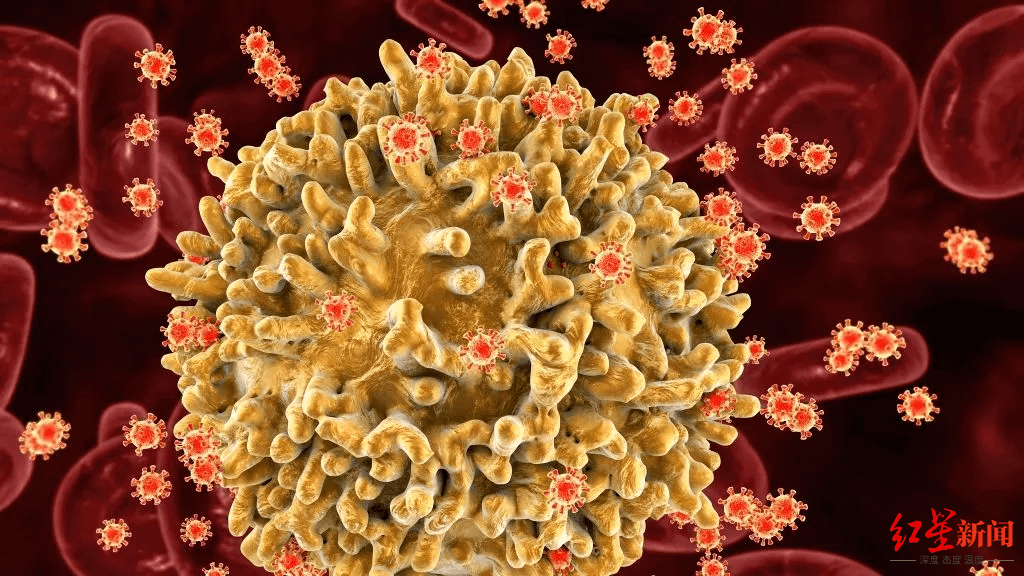 大部分|高毒性高破坏性艾滋病毒变体出现！大部分感染者在荷兰，目前疗法仍有效