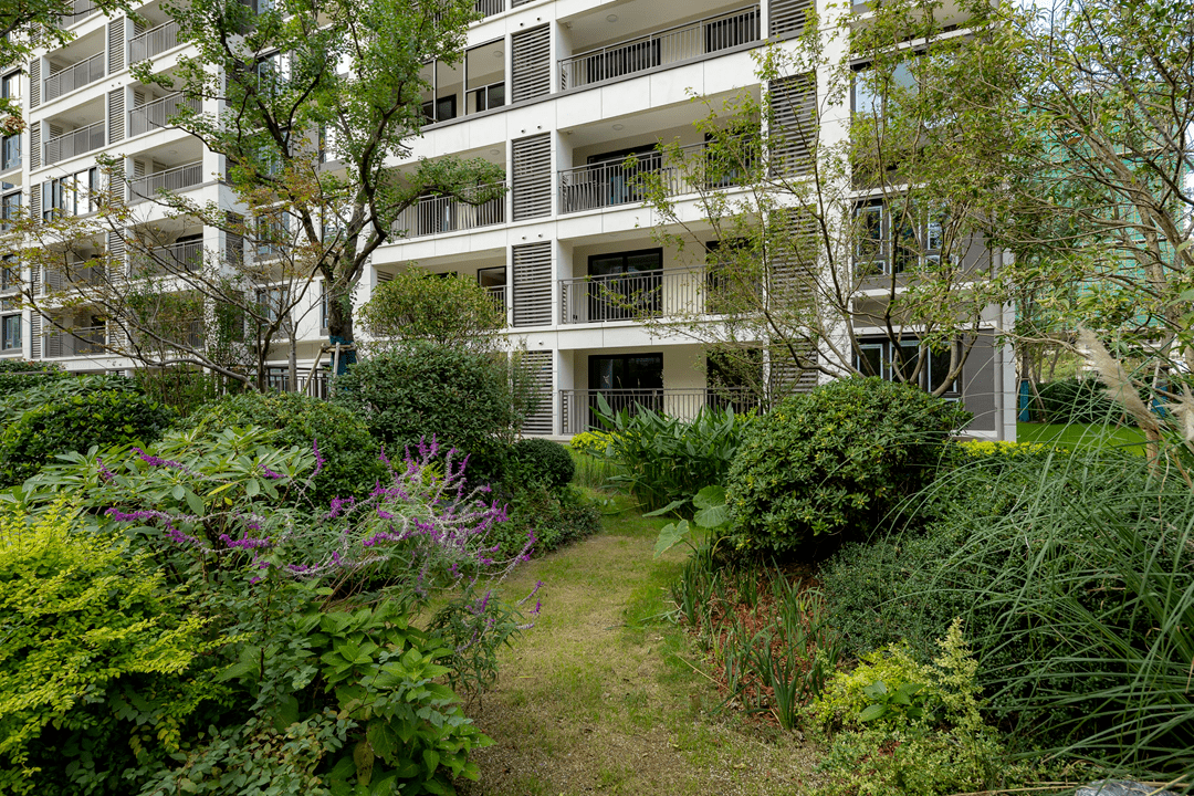 丛林之下萤来美好2021江苏旭辉社区海绵实践分享