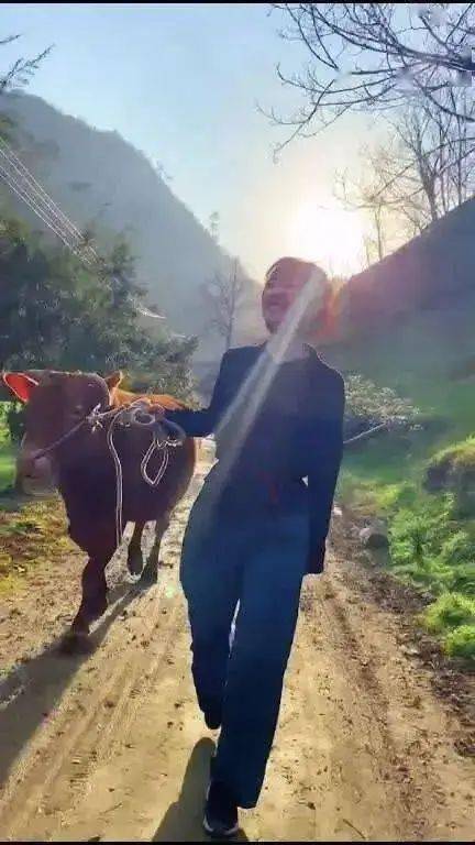 陈柳_黄牛_马啸小