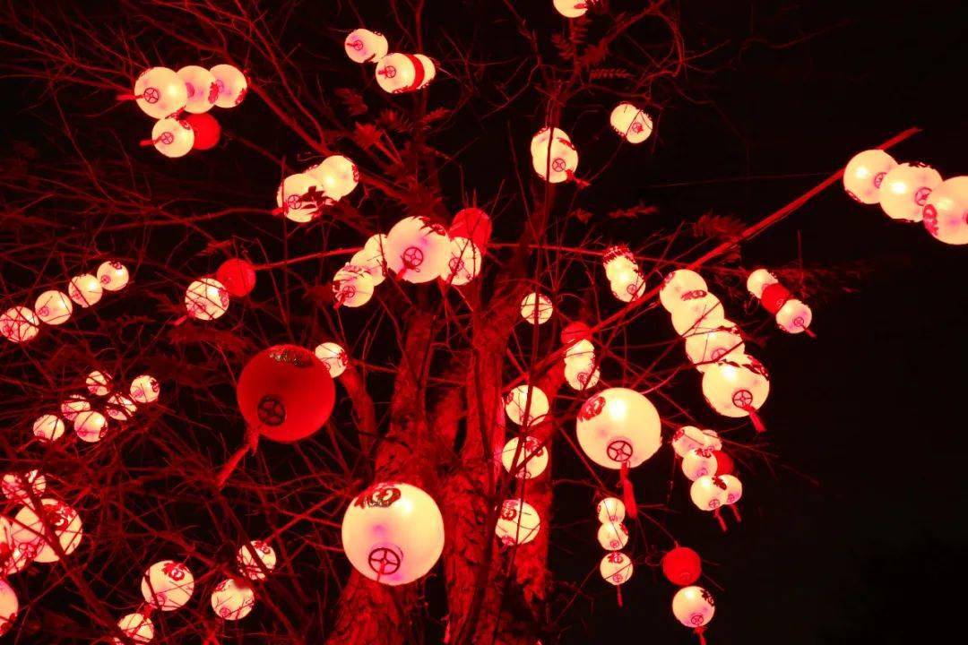 行摄云南花灯闹新春红火年味足