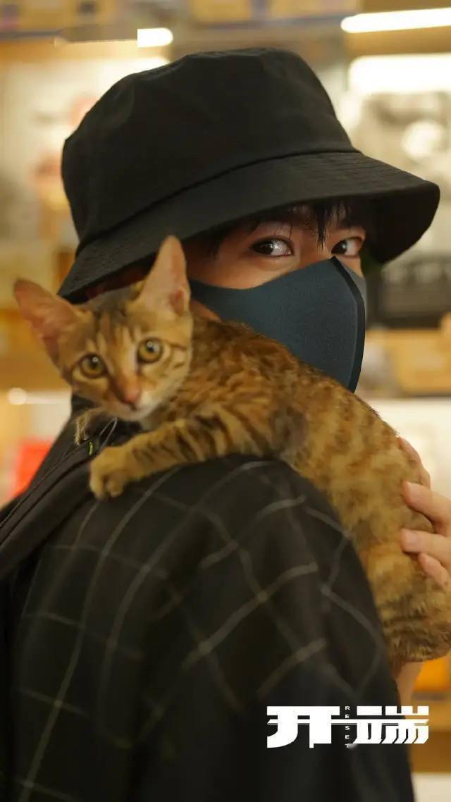 都能|《开端》没有烂尾，成功开启了无限流电视剧的开端