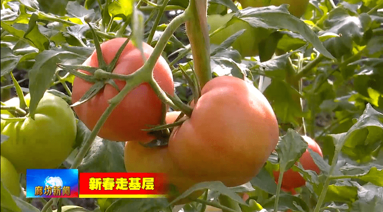 749ff5f34d464a6280e43d8d85393cd2.png