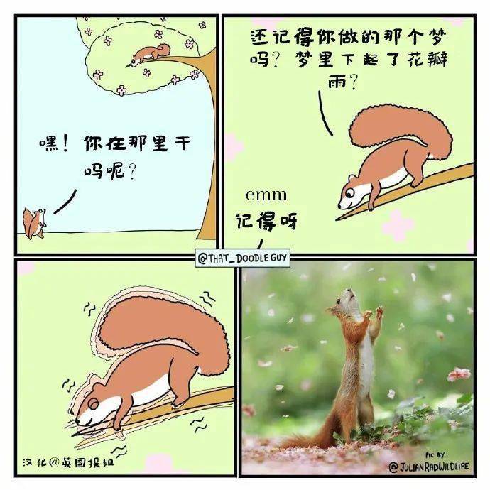 心理漫画丨这些背后故事也太治愈啦好温暖