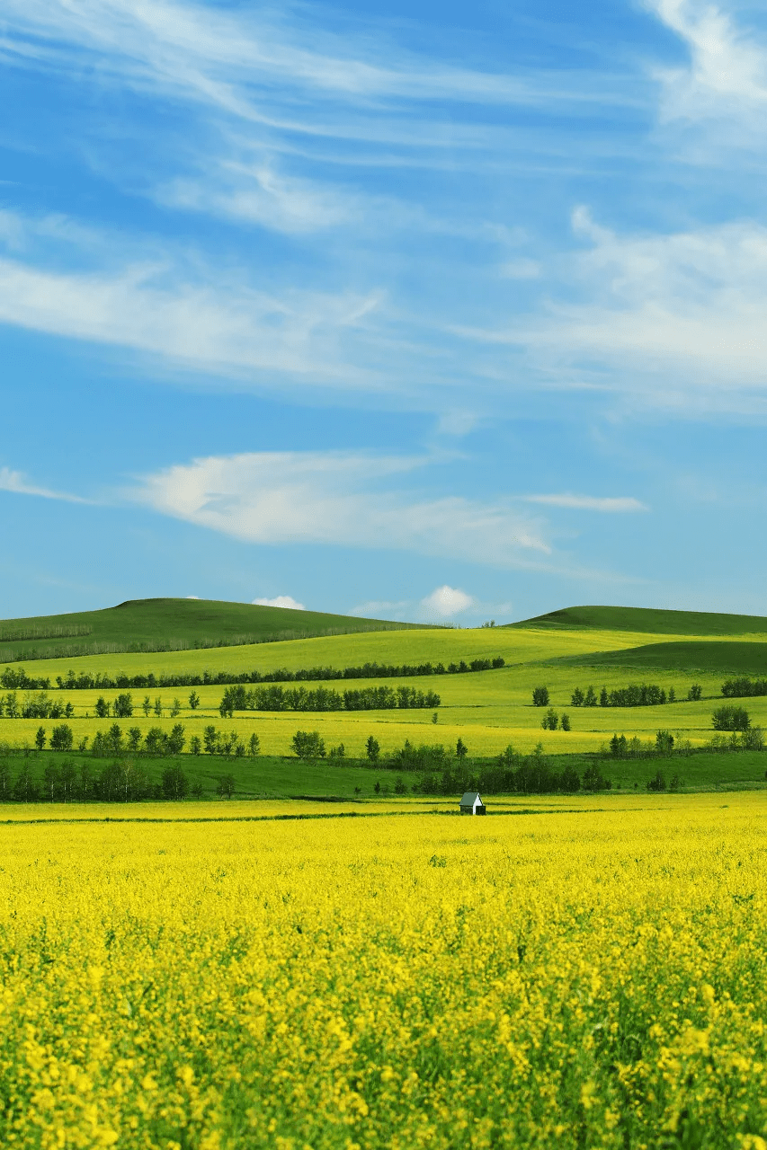 我劝你一定要去一次内蒙古_草原_绿色_那座城