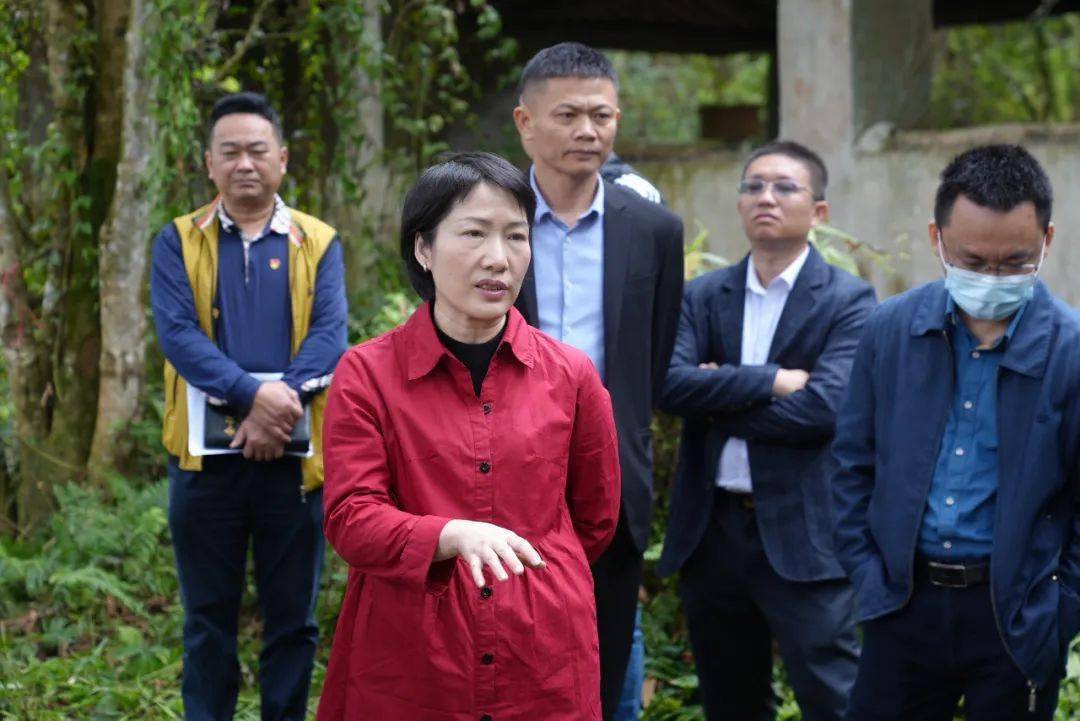 凌云率队调研沉香产业科学谋划精准发力全力打造沉香全产业链