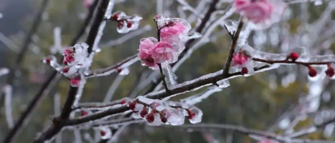 新一轮雨雪上线!即将抵达台州_天气_大部地区_气温