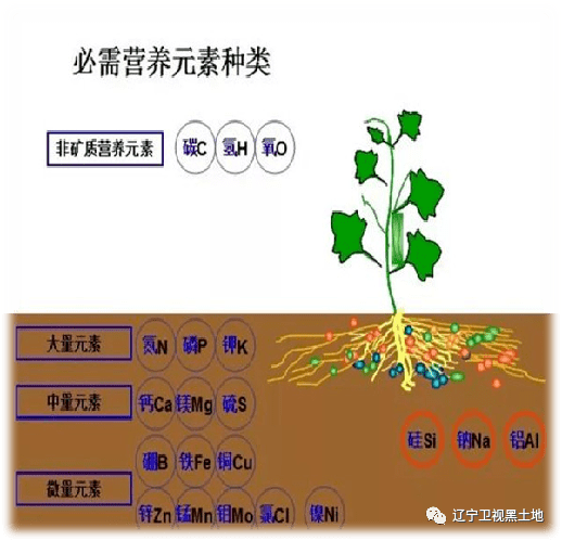 94a3f957b3044946a3b04f75dda3fc95.png