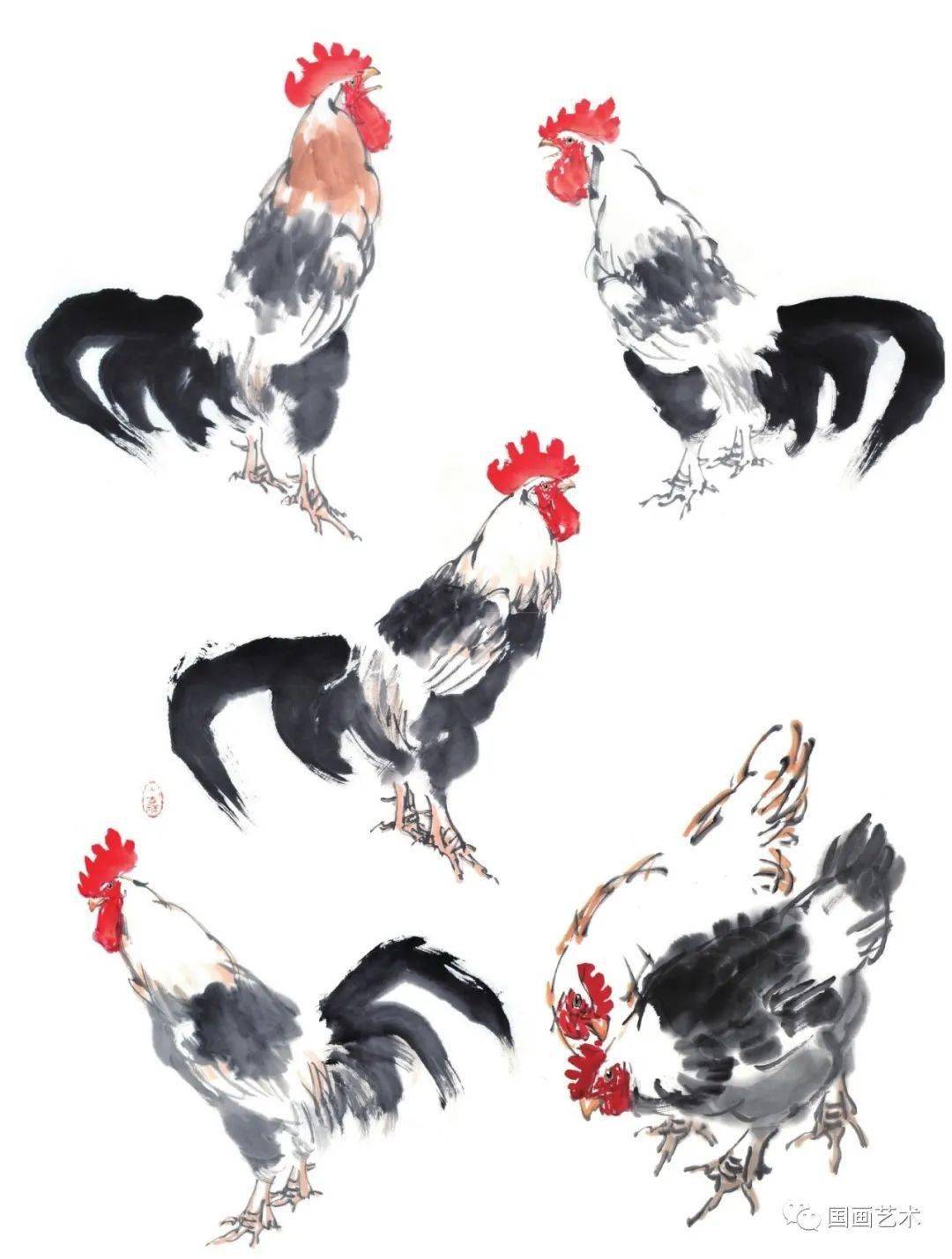 写意鸡的画法入门_画面_公鸡_小鸡
