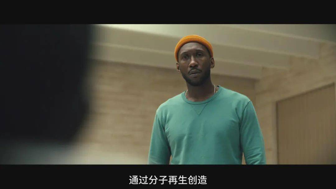 被低估的冷门佳片，我不敢再看第二遍