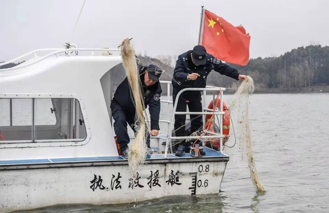 去年滨湖渔政围绕禁捕执法,共出动航次848次,2783人次,共收缴捕鱼丝网