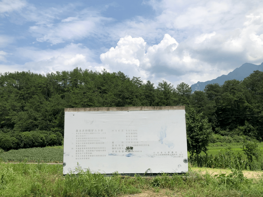 桥墩|高铁与博物馆｜空山③：向内坍塌