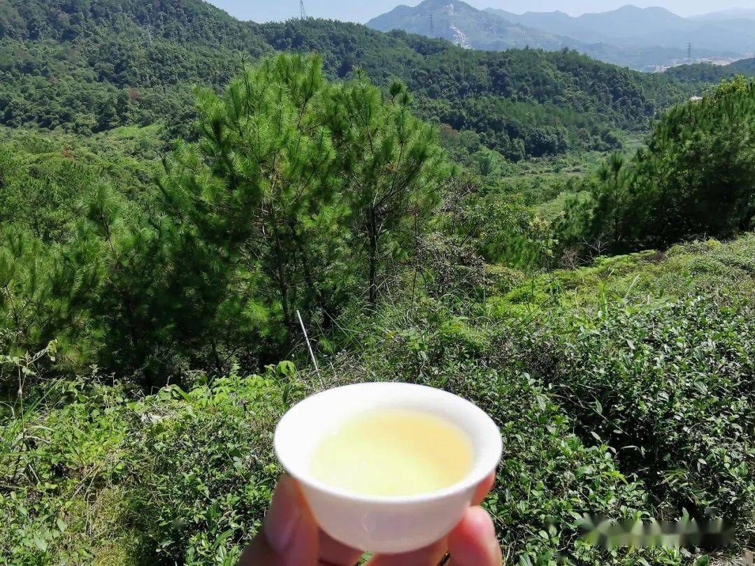 ���������ݳ�Ʒ��