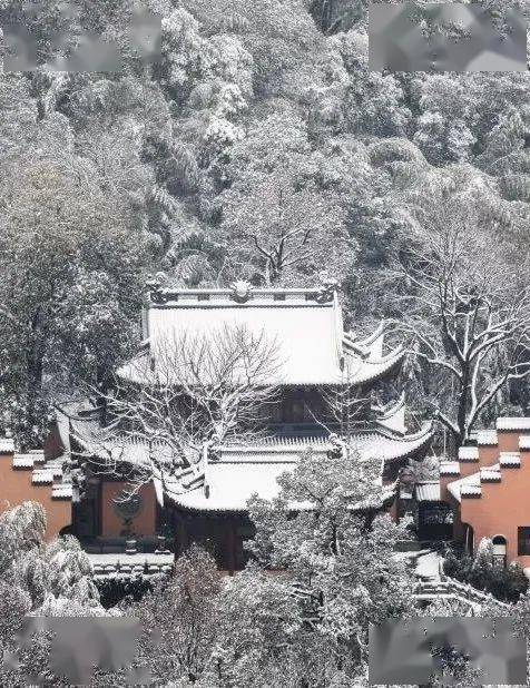 阳光“你真没喷香水？”好想埋头吸一口！