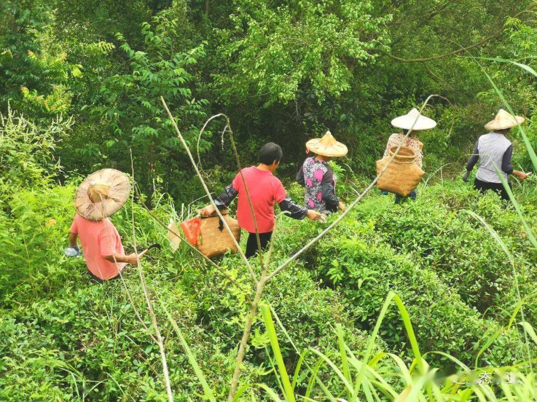 ���������ݳ�Ʒ��