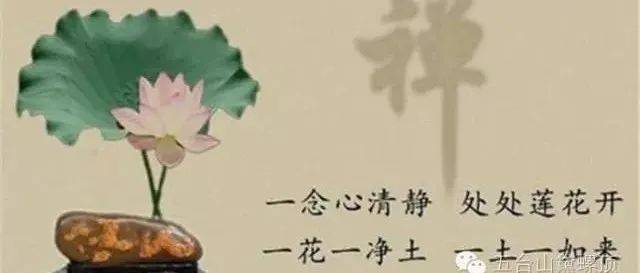 省一大师30岁便证念佛三昧的详细过程（总第681期）_阿弥陀佛_宝莲花_菩萨