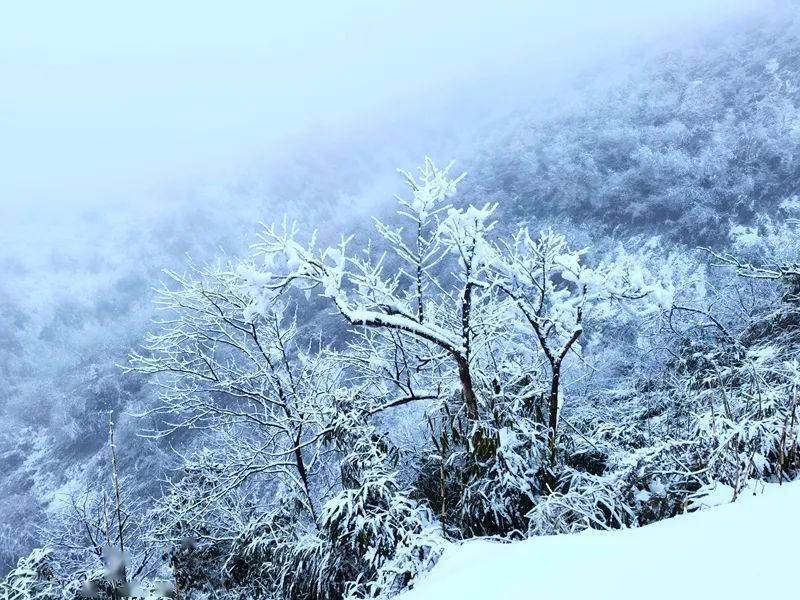 罗浮山下雪图片