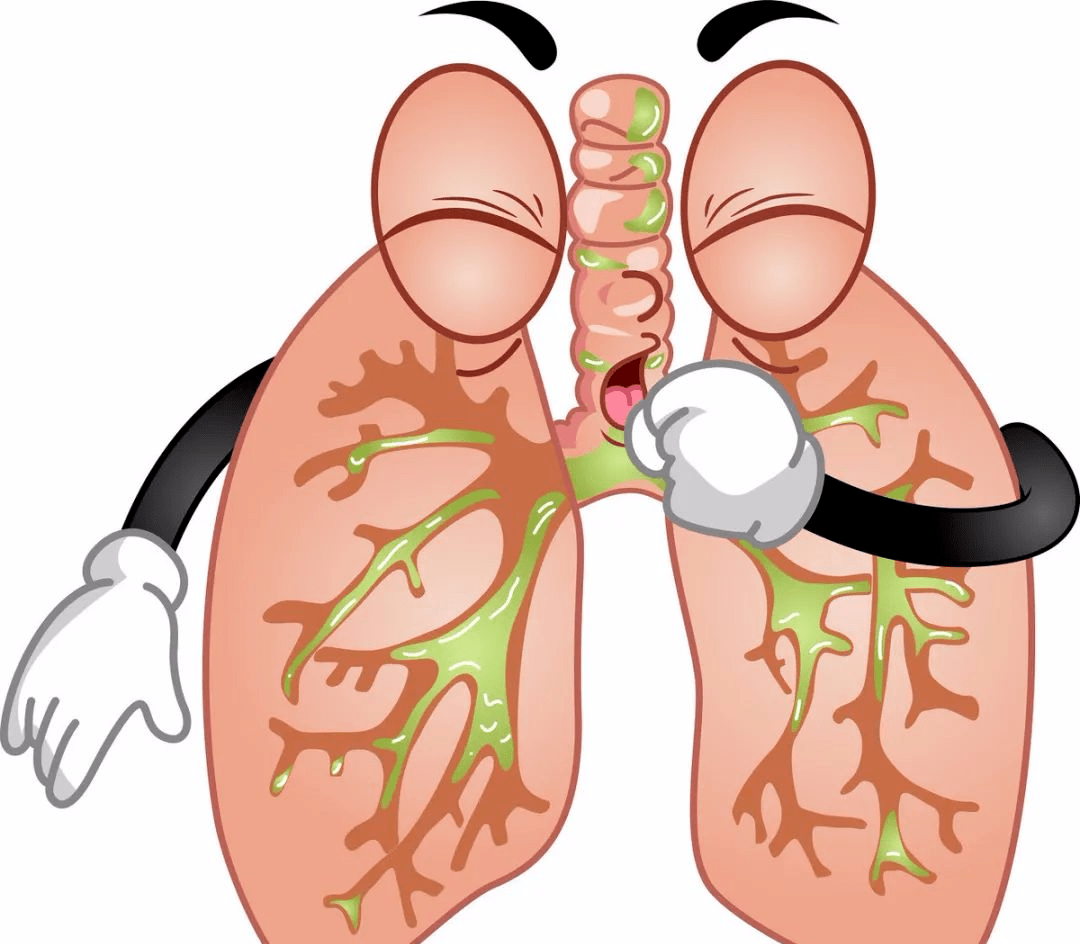 吃什么东西能养肺最好 f553d3775eac4bde80cefc0cf733ec88.png