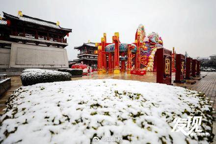 雪花|瑞雪兆丰年！西安皑皑如画