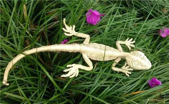 龙舟 蜥蜴 鹿 存放十余年都不变形的棕编手工艺品 你想拥有吗 谢晓 作品 编制