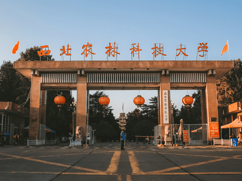 穿越西农的错位时空