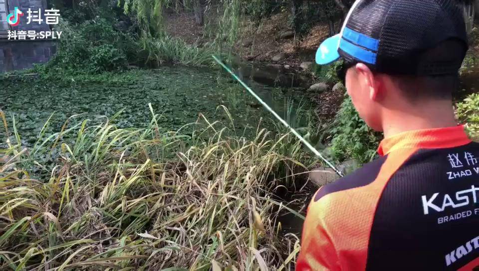 没有配乐没有效果没有剪辑呈现最完整淋漓尽致的定线flipping钓法路亚