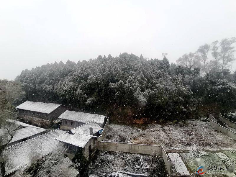 立山仪陇新闻网讯2月7日晚至8日白天,我县立山,金城,新政,双胜,瓦子