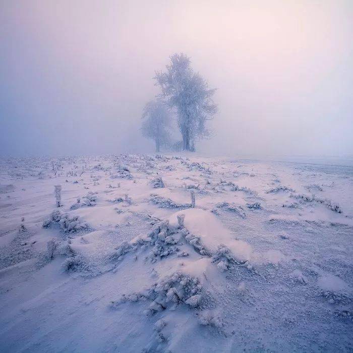 by如何拍出更加出彩的雪景照片？攻略在这！