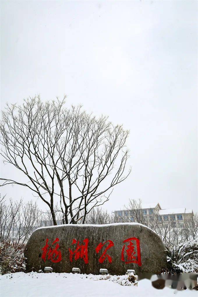 迟来的美照雪中的大厂桃湖公园太子山公园晓山转盘