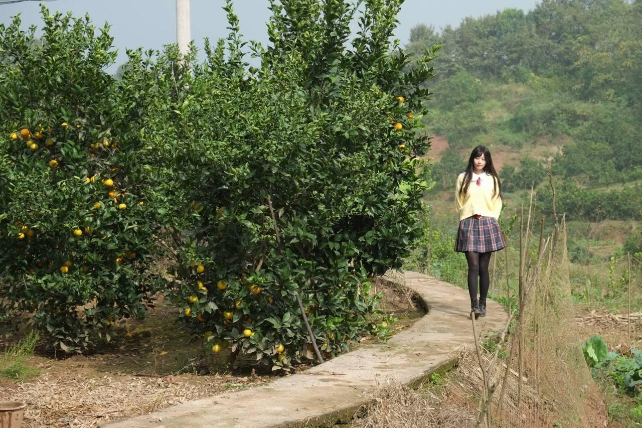 飞翔|飞翔的魔女～木幡真琴cosplay