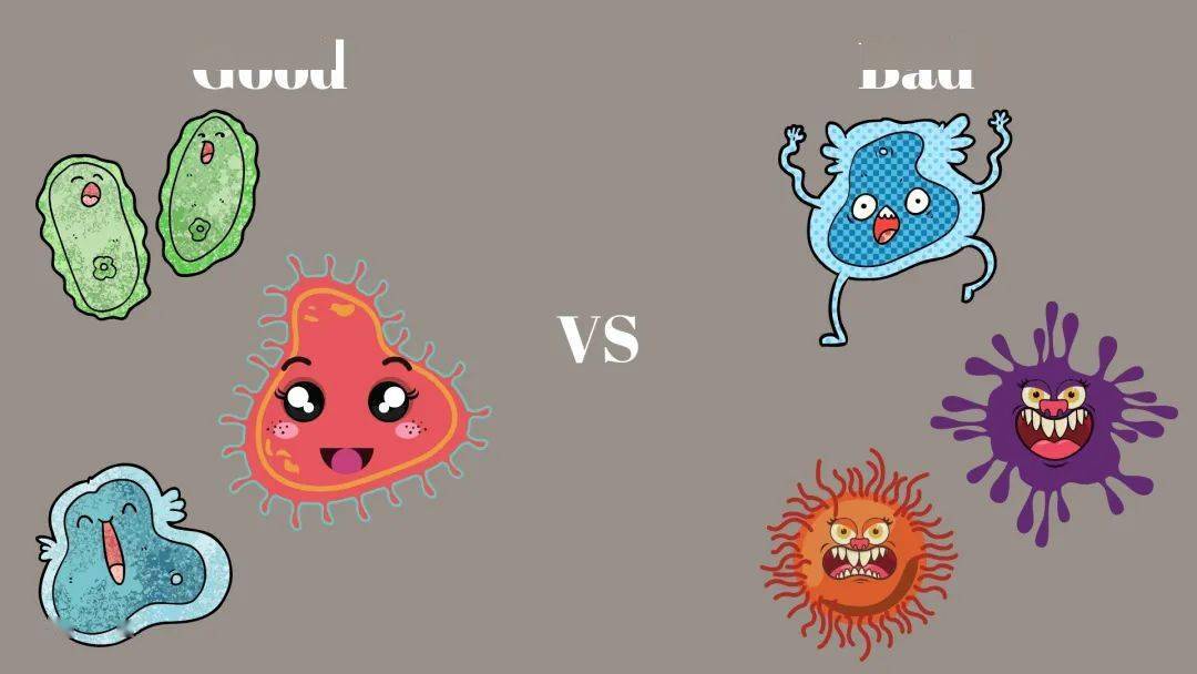 jama子刊最新研究肠道中的好细菌竟对大脑健康有关键作用